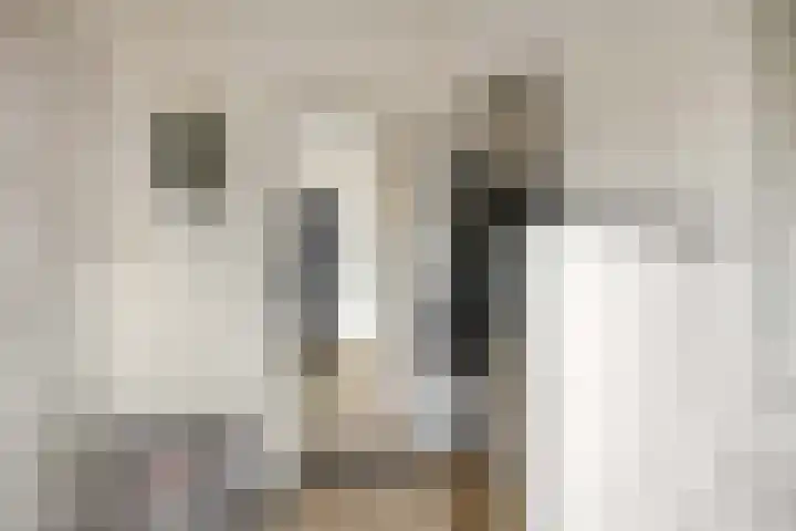 Schout de Boerstraat 3 Ten Boer thumbnail 9