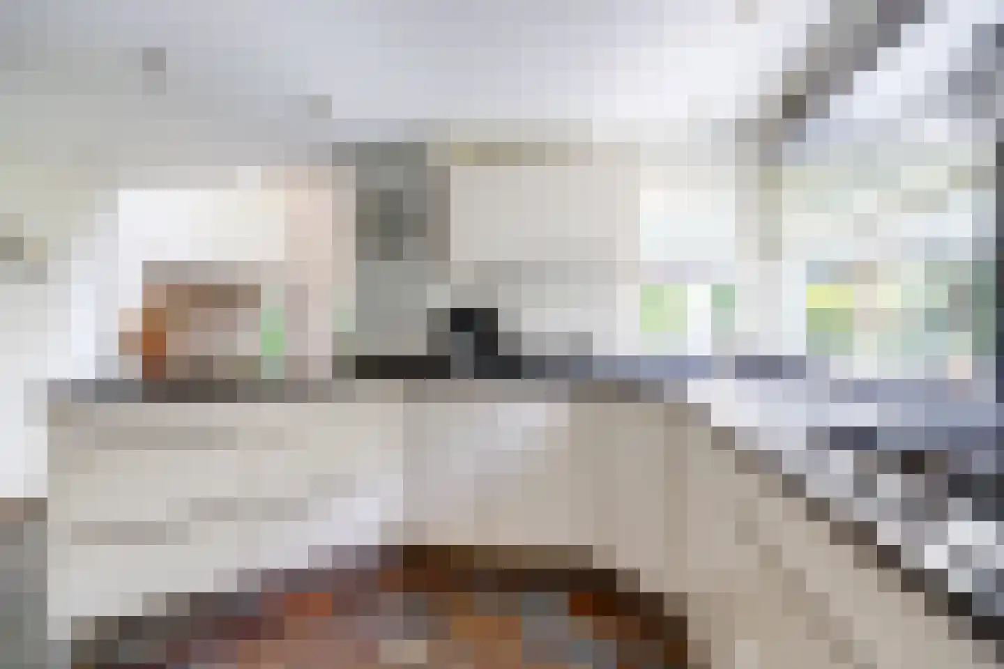 Schout de Collartstraat 4 Panningen thumbnail 13