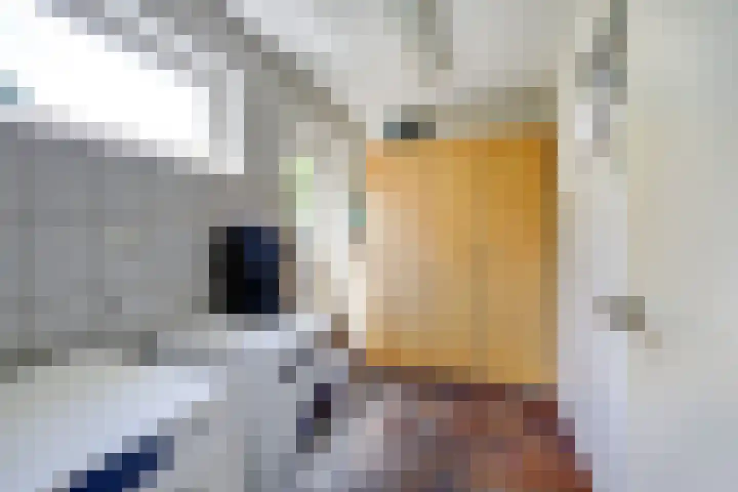 Schout de Collartstraat 4 Panningen thumbnail 14