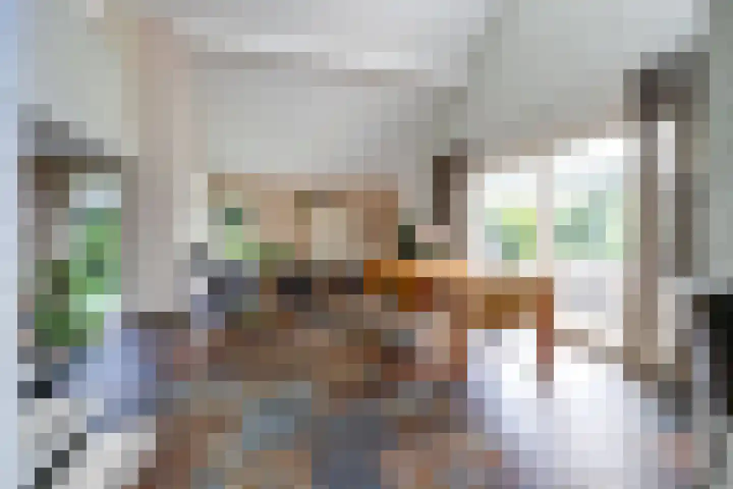 Schout de Collartstraat 4 Panningen thumbnail 15