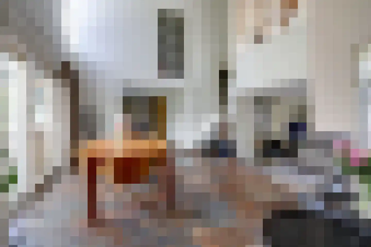 Schout de Collartstraat 4 Panningen thumbnail 17