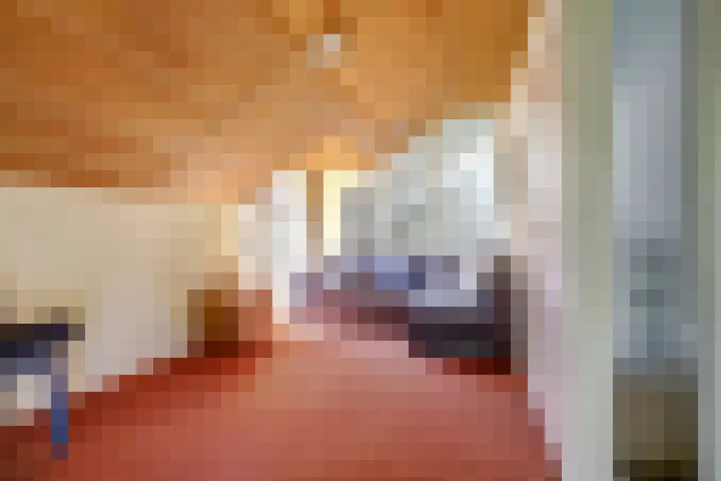 Schout de Collartstraat 4 Panningen thumbnail 19