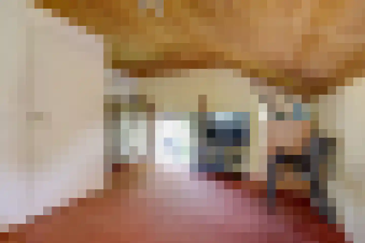 Schout de Collartstraat 4 Panningen thumbnail 20