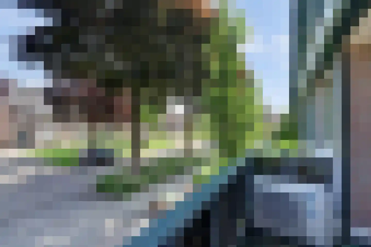 Schout de Collartstraat 4 Panningen thumbnail 24