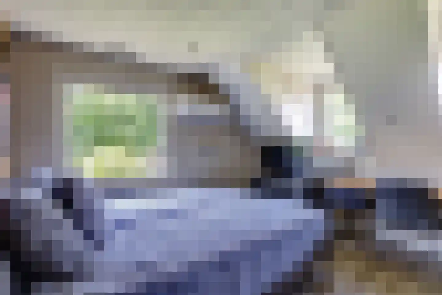 Schout de Collartstraat 4 Panningen thumbnail 34