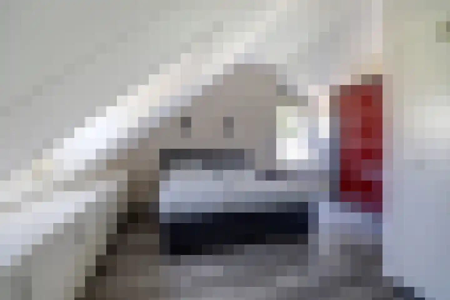 Schout de Collartstraat 4 Panningen thumbnail 37