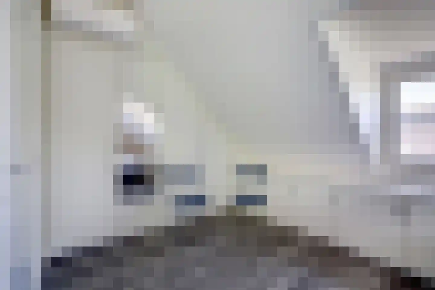 Schout de Collartstraat 4 Panningen thumbnail 39