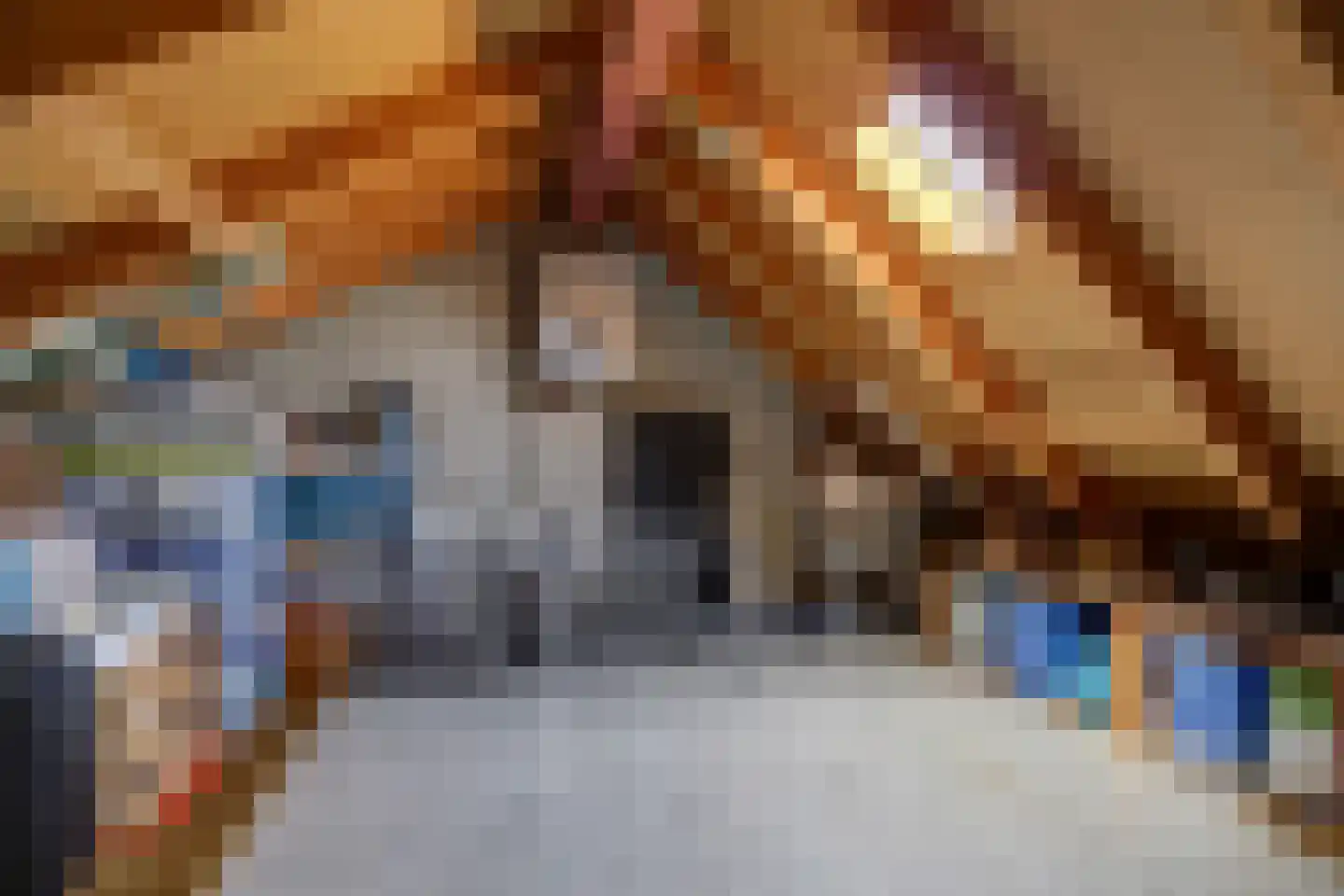 Schout de Collartstraat 4 Panningen thumbnail 41