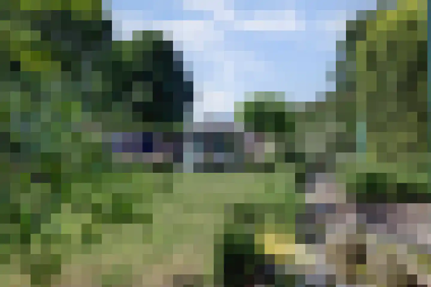 Schout de Collartstraat 4 Panningen thumbnail 50