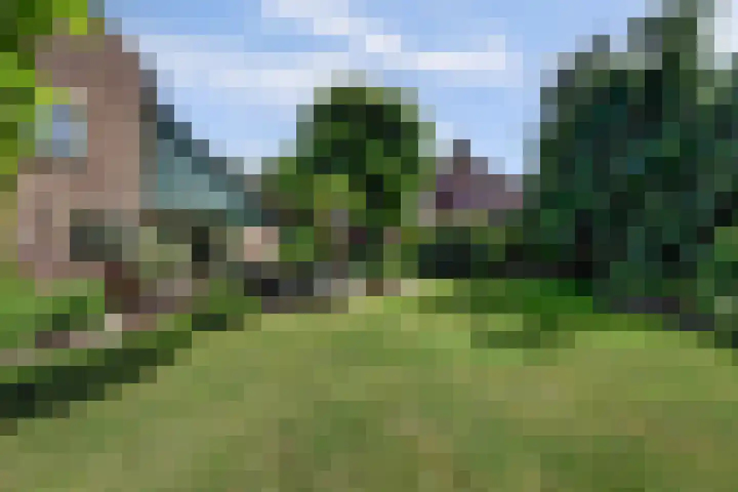 Schout de Collartstraat 4 Panningen thumbnail 54