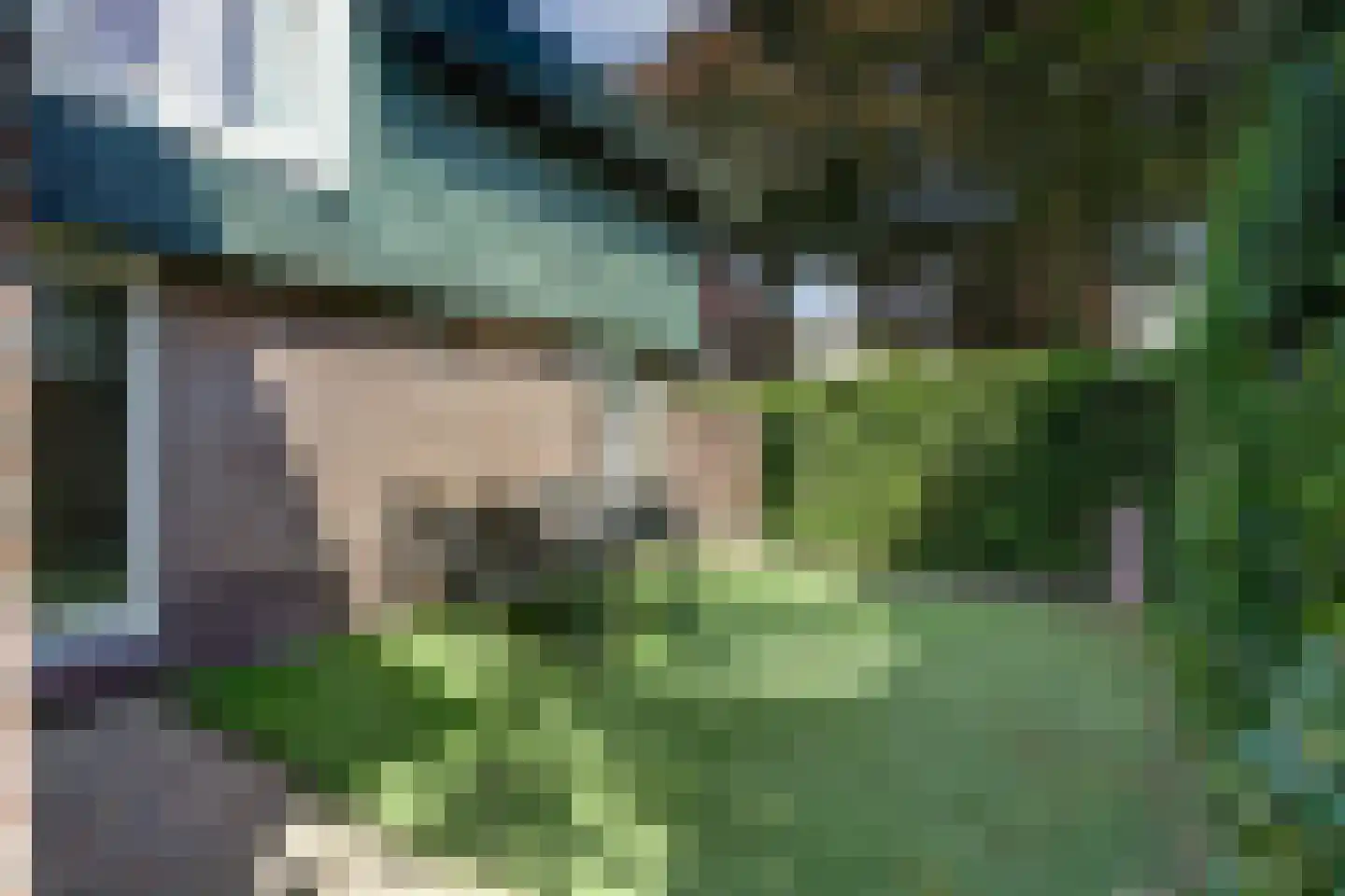 Schout de Collartstraat 4 Panningen thumbnail 55