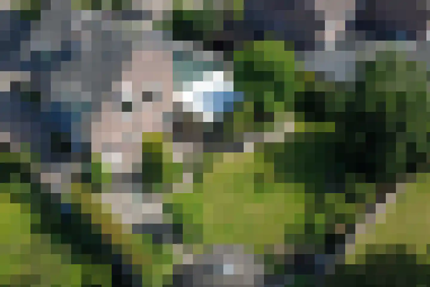 Schout de Collartstraat 4 Panningen thumbnail 62