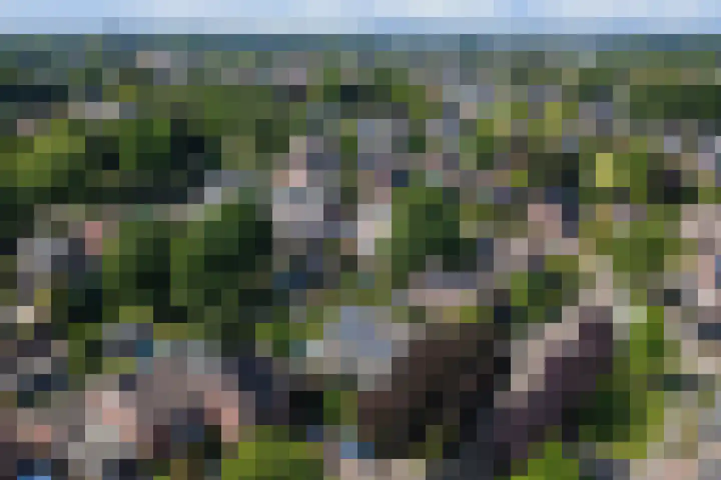 Schout de Collartstraat 4 Panningen thumbnail 64