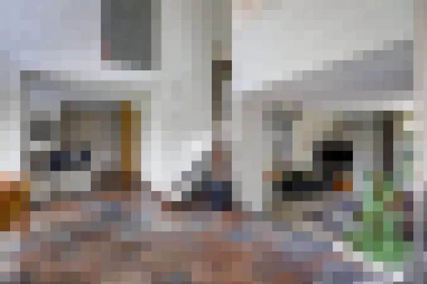 Schout de Collartstraat 4 Panningen thumbnail 9