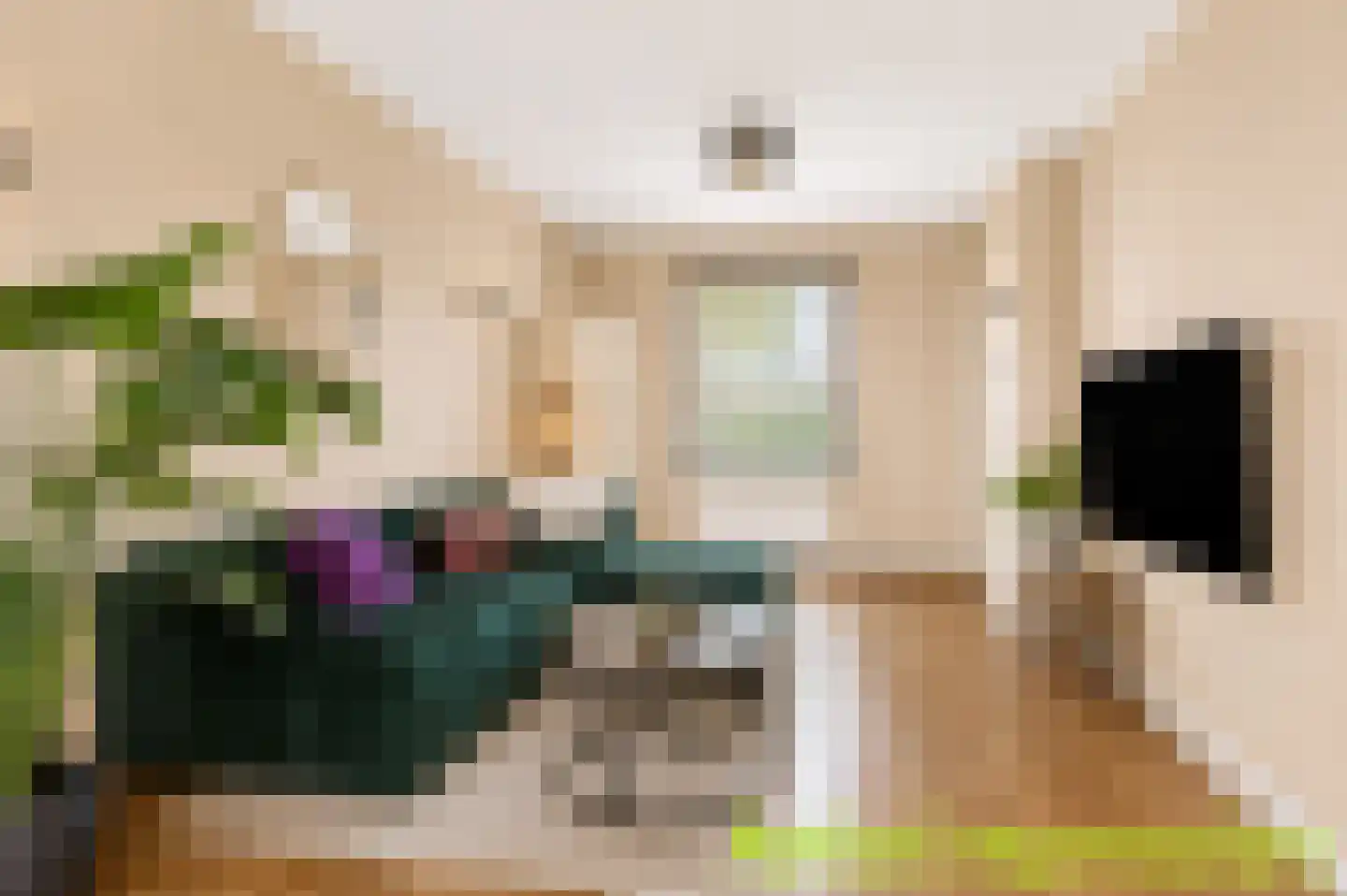 Schout de Visscherestraat 24 Gemert thumbnail 15