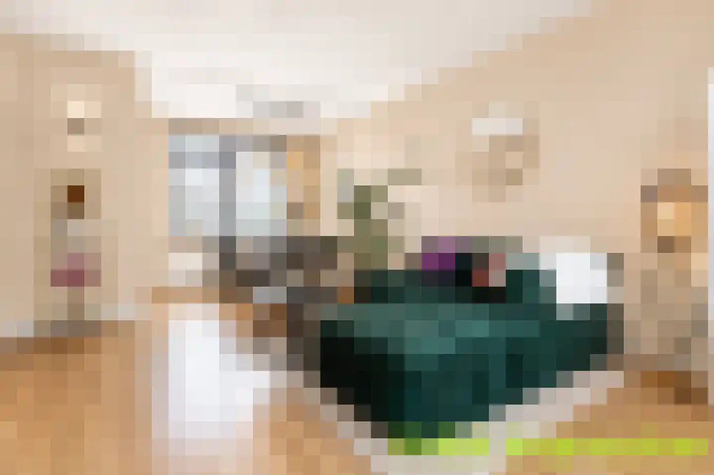 Schout de Visscherestraat 24 Gemert thumbnail 16