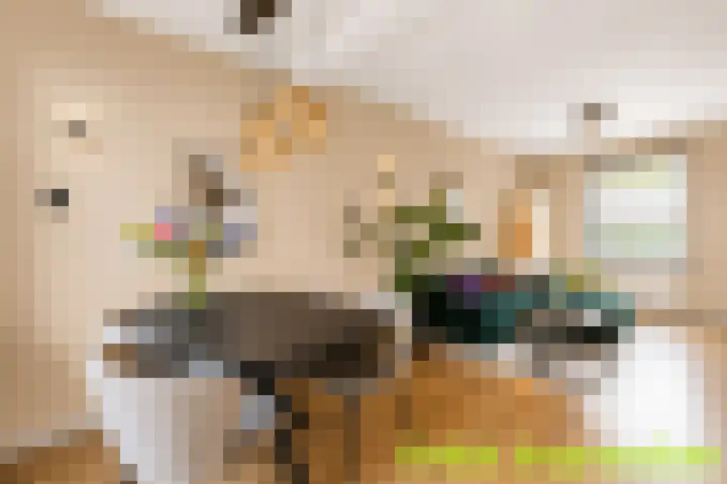 Schout de Visscherestraat 24 Gemert thumbnail 17
