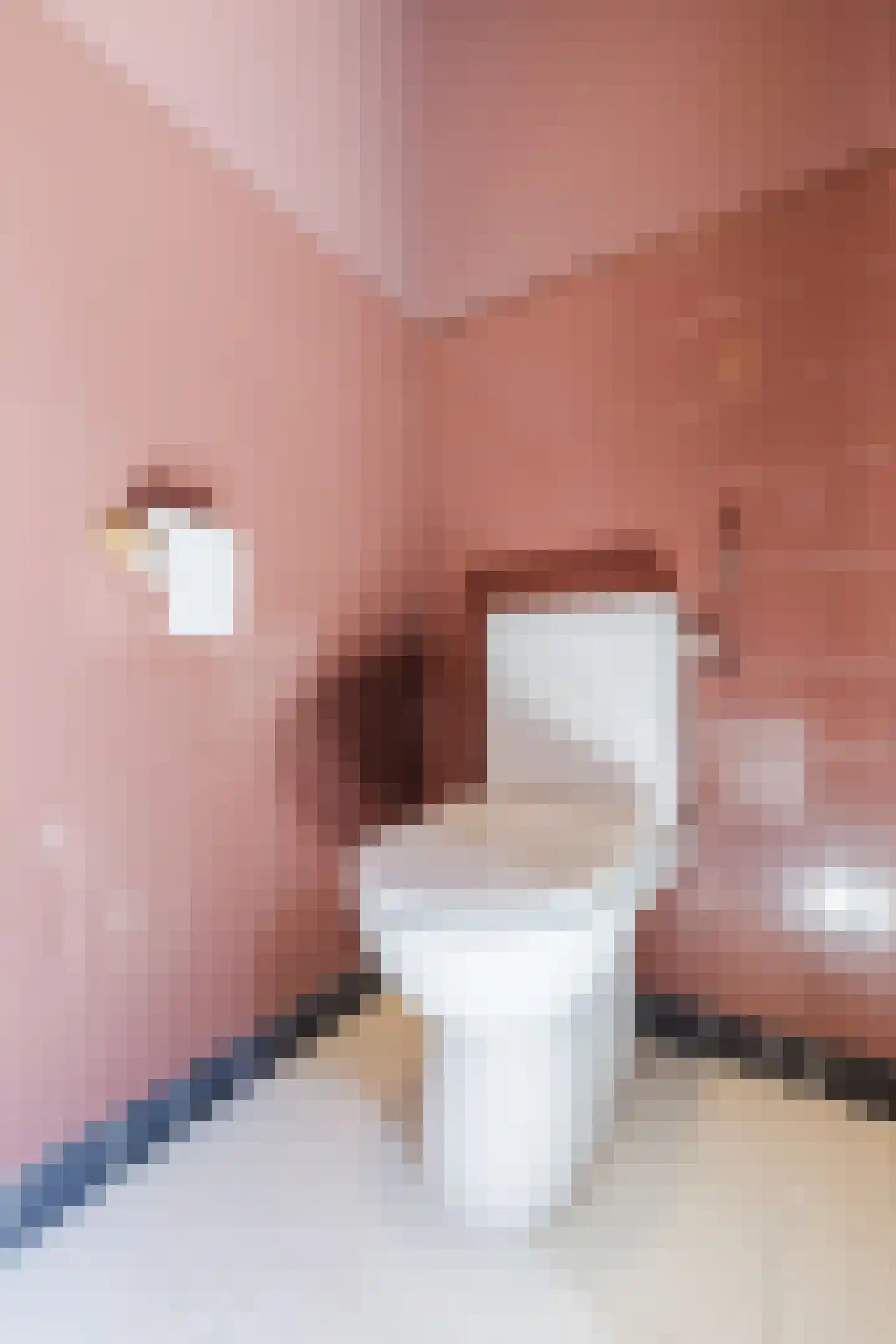 Schout de Visscherestraat 24 Gemert thumbnail 24
