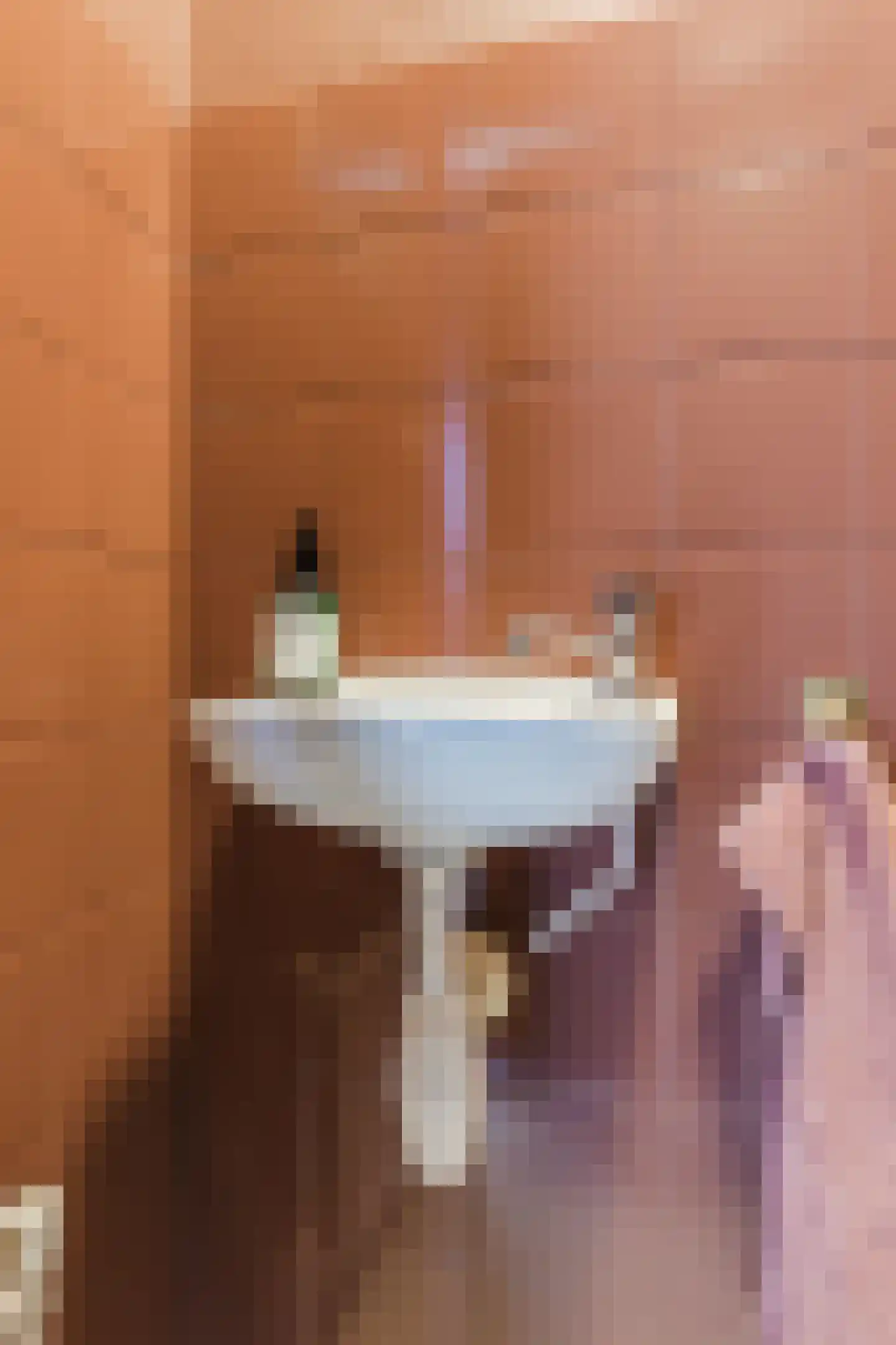 Schout de Visscherestraat 24 Gemert thumbnail 25