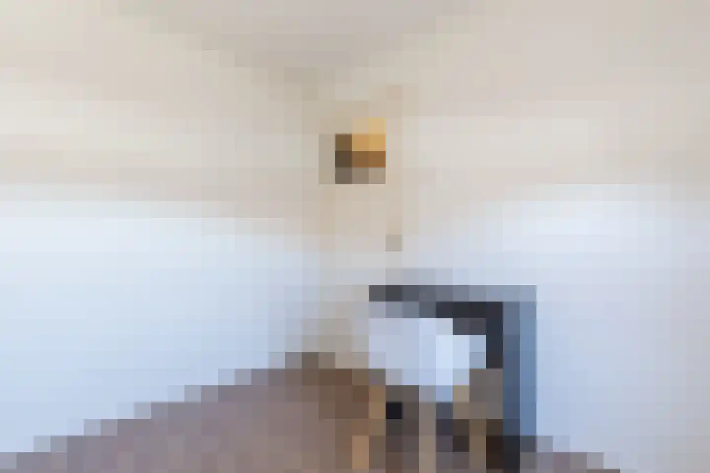 Schout de Visscherestraat 24 Gemert thumbnail 29