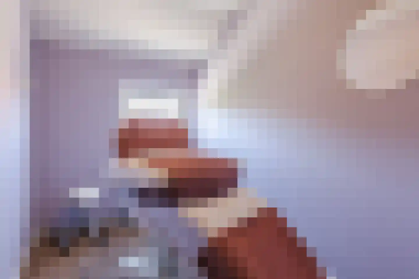 Schout de Visscherestraat 24 Gemert thumbnail 32
