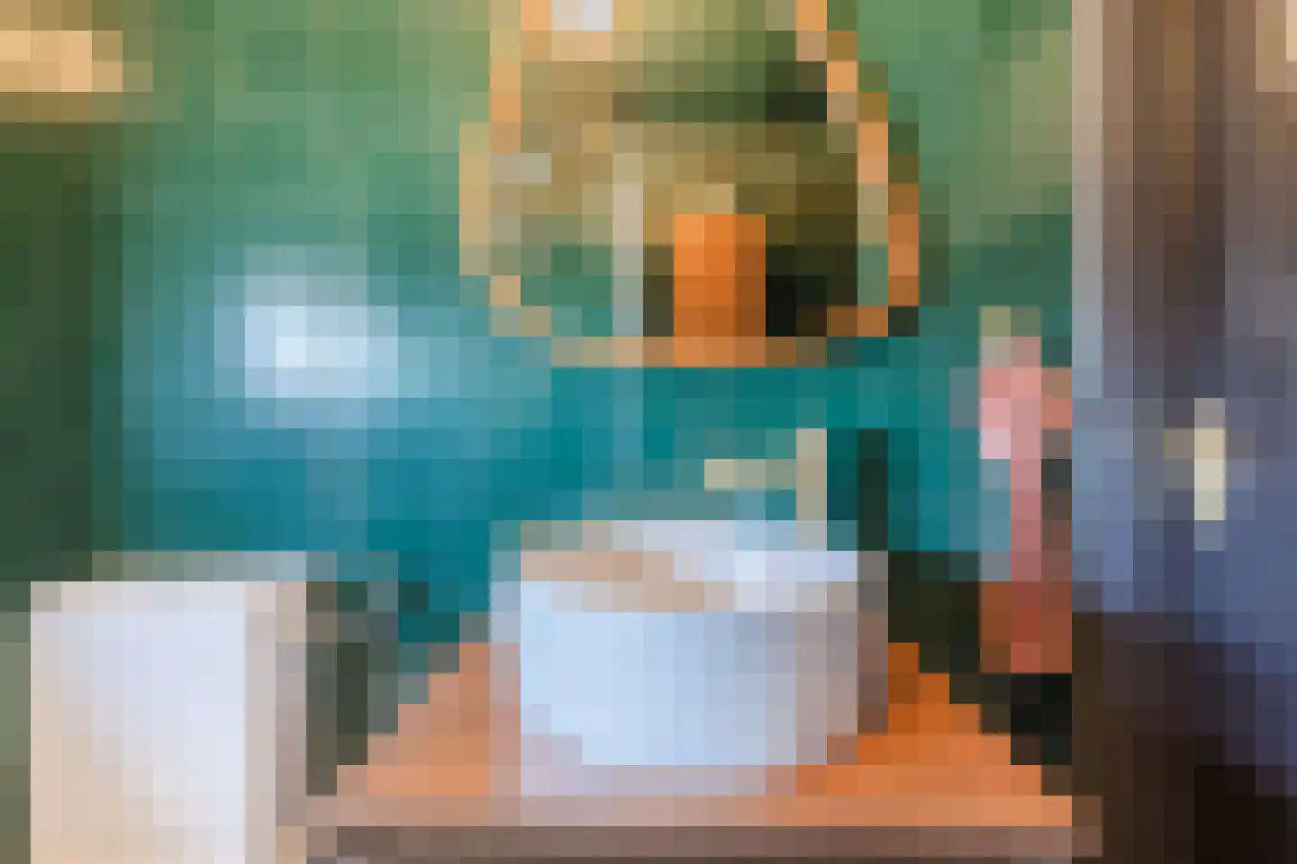 Schout de Visscherestraat 24 Gemert thumbnail 35