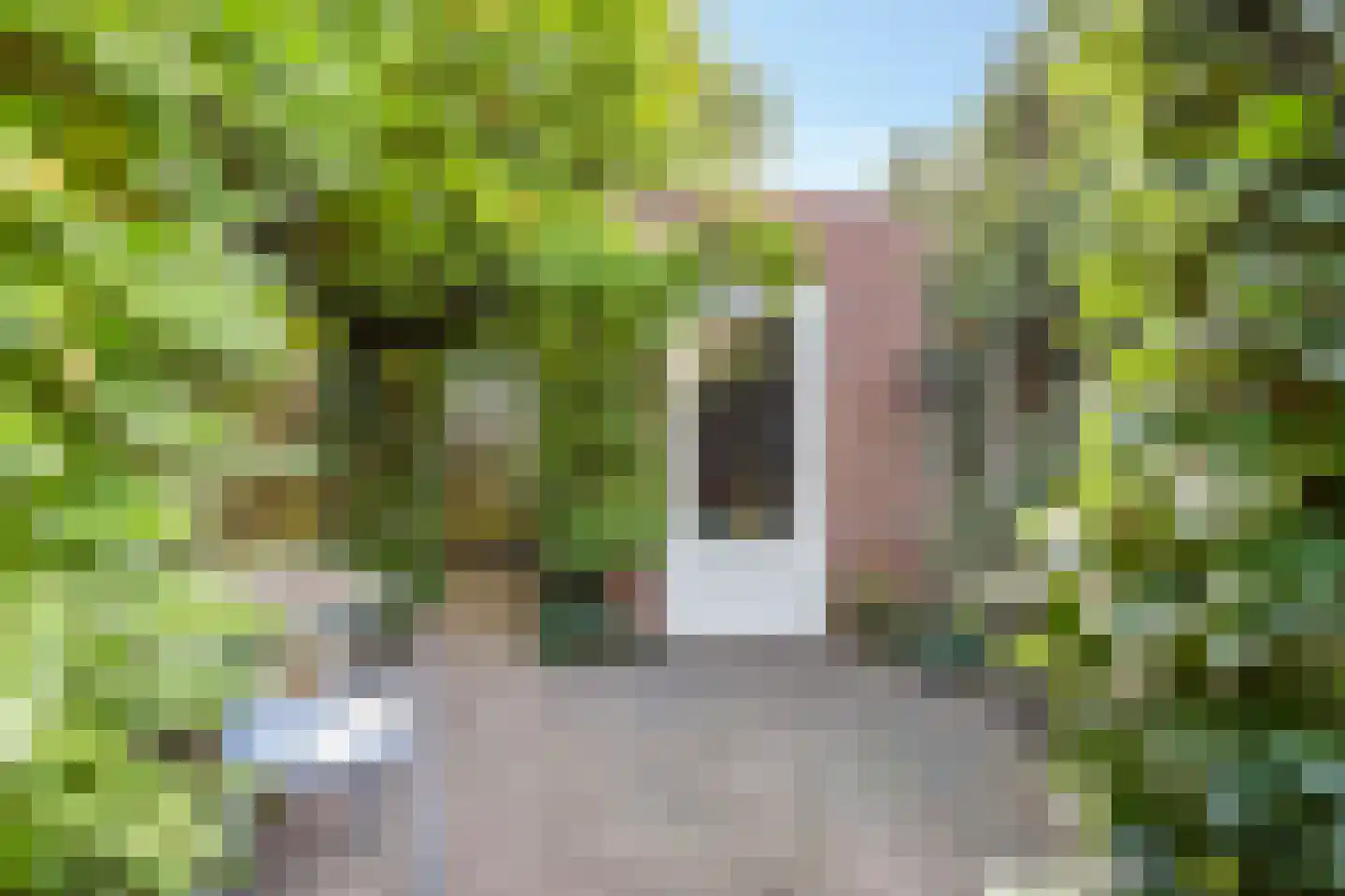 Schout Dicbierlaan 47 's-Hertogenbosch thumbnail 12