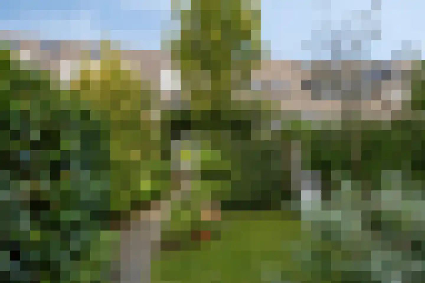 Schout Dicbierlaan 47 's-Hertogenbosch thumbnail 13