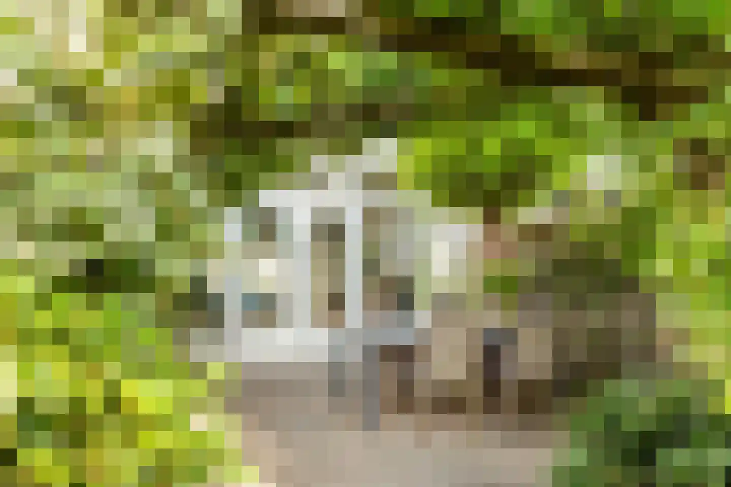 Schout Dicbierlaan 47 's-Hertogenbosch thumbnail 14