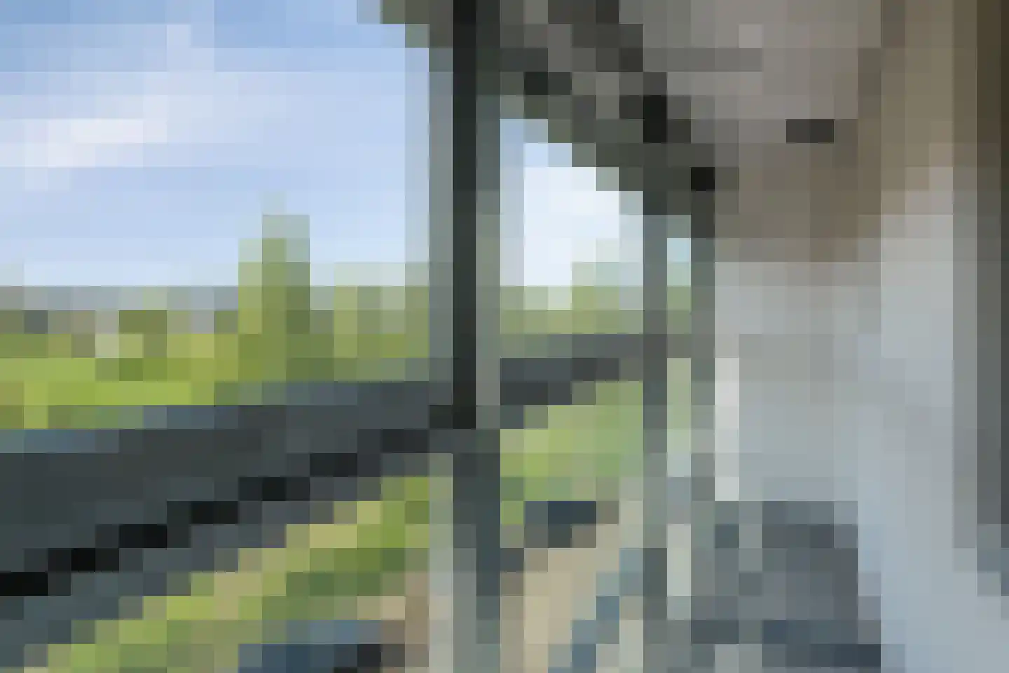 Schout Dicbierlaan 47 's-Hertogenbosch thumbnail 33