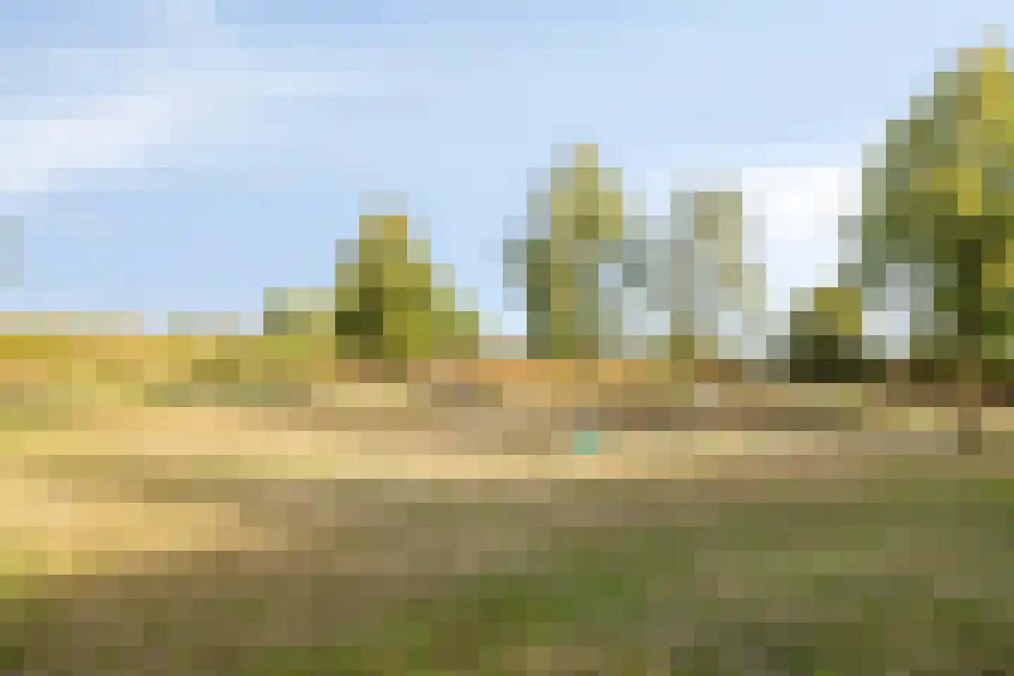 Schout Dicbierlaan 47 's-Hertogenbosch thumbnail 40