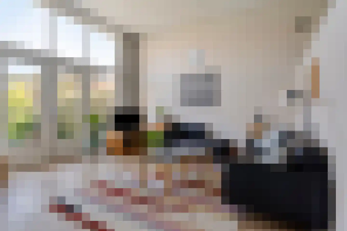 Schout Dicbierlaan 47 's-Hertogenbosch thumbnail 8