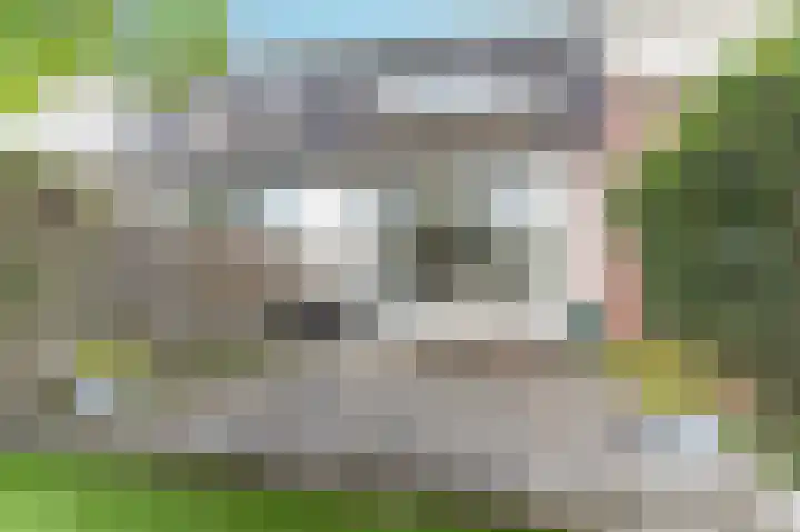 Schout Dicbierlaan 51 's-Hertogenbosch thumbnail 37