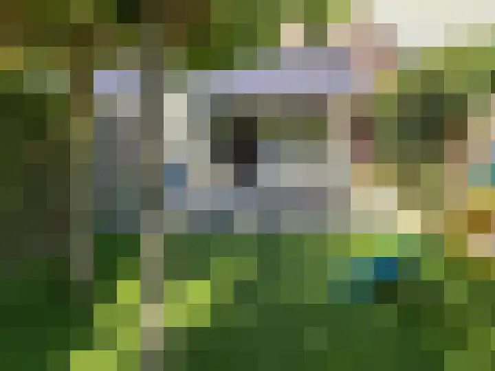 Schout Dicbierlaan 51 's-Hertogenbosch thumbnail 41