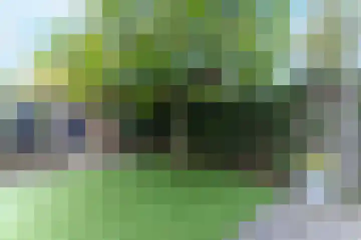 Schout Dicbierlaan 51 's-Hertogenbosch thumbnail 42
