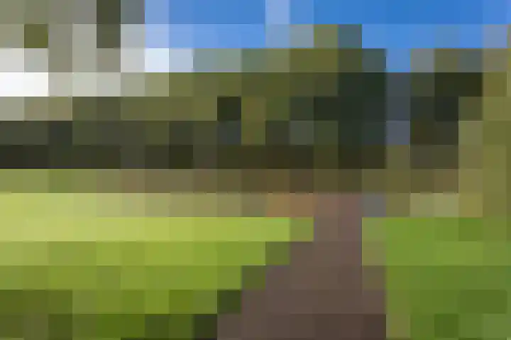 Schout Dicbierlaan 51 's-Hertogenbosch thumbnail 47