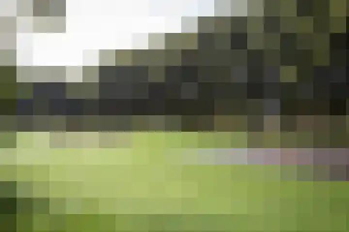 Schout Dicbierlaan 51 's-Hertogenbosch thumbnail 48
