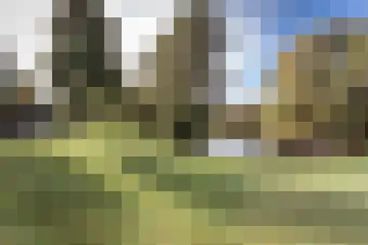 Schout Dicbierlaan 51 's-Hertogenbosch thumbnail 50