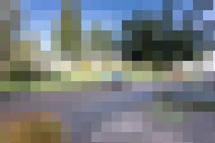 Schout Dicbierlaan 51 's-Hertogenbosch thumbnail 52