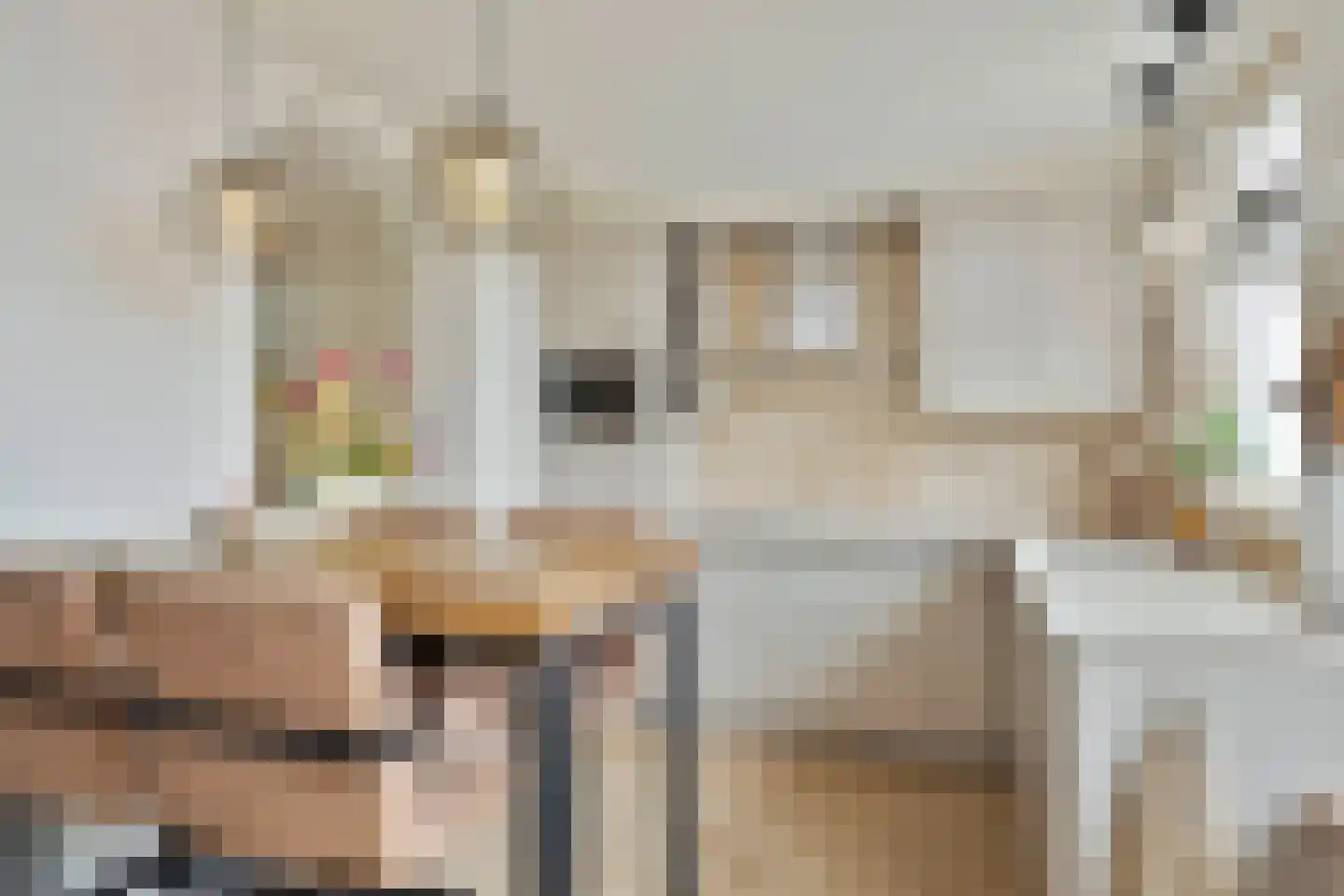 Schout Diercxlaan 17 Nuenen foto 2