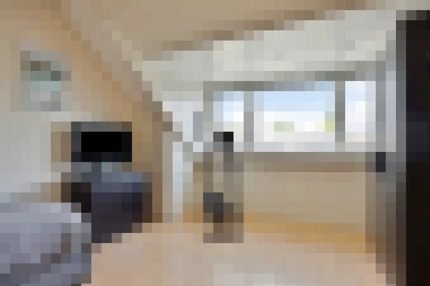 Schout Diercxlaan 17 Nuenen thumbnail 20