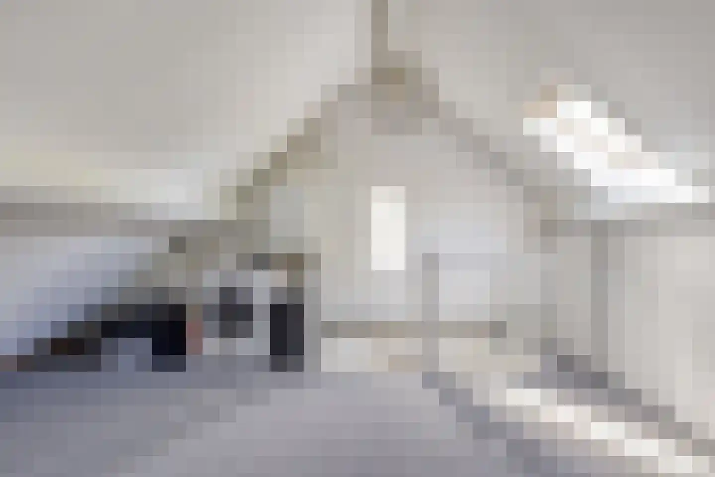 Schout Diercxlaan 23 Nuenen thumbnail 28