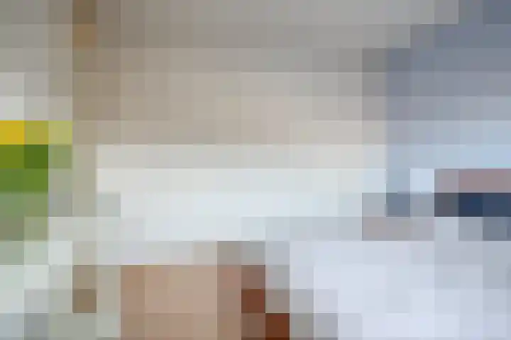 Schout Diercxlaan 35 Nuenen thumbnail 13
