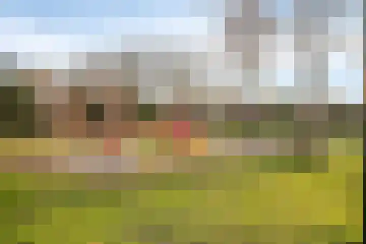 Schout Diercxlaan 35 Nuenen thumbnail 25