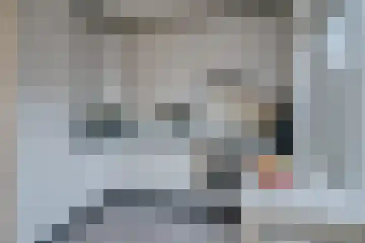 Schout Diercxlaan 35 Nuenen thumbnail 9