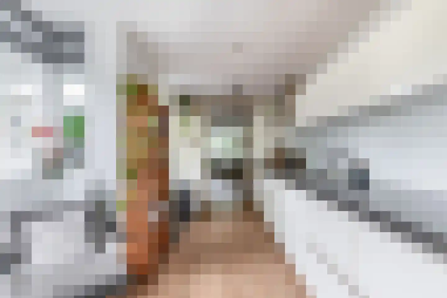 Schout Diercxlaan 6 Nuenen thumbnail 14
