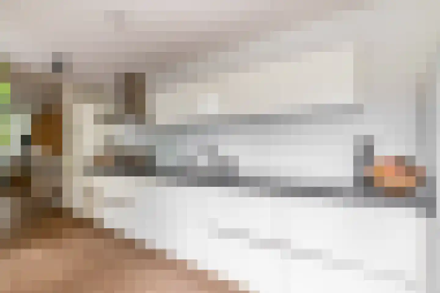 Schout Diercxlaan 6 Nuenen thumbnail 15