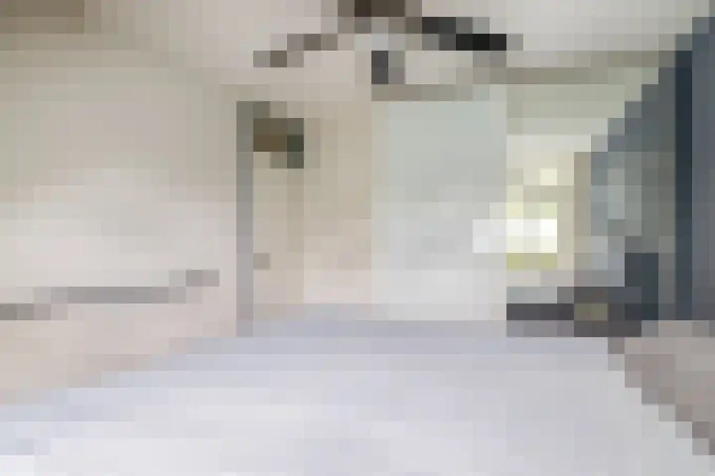 Schout Diercxlaan 6 Nuenen thumbnail 20