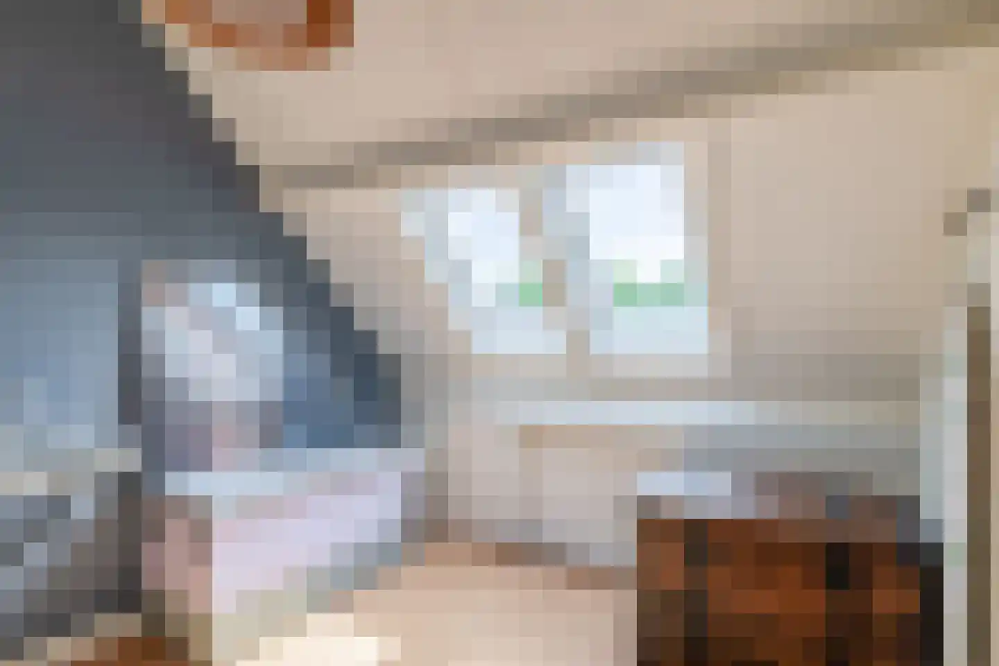 Schout Diercxlaan 6 Nuenen thumbnail 28