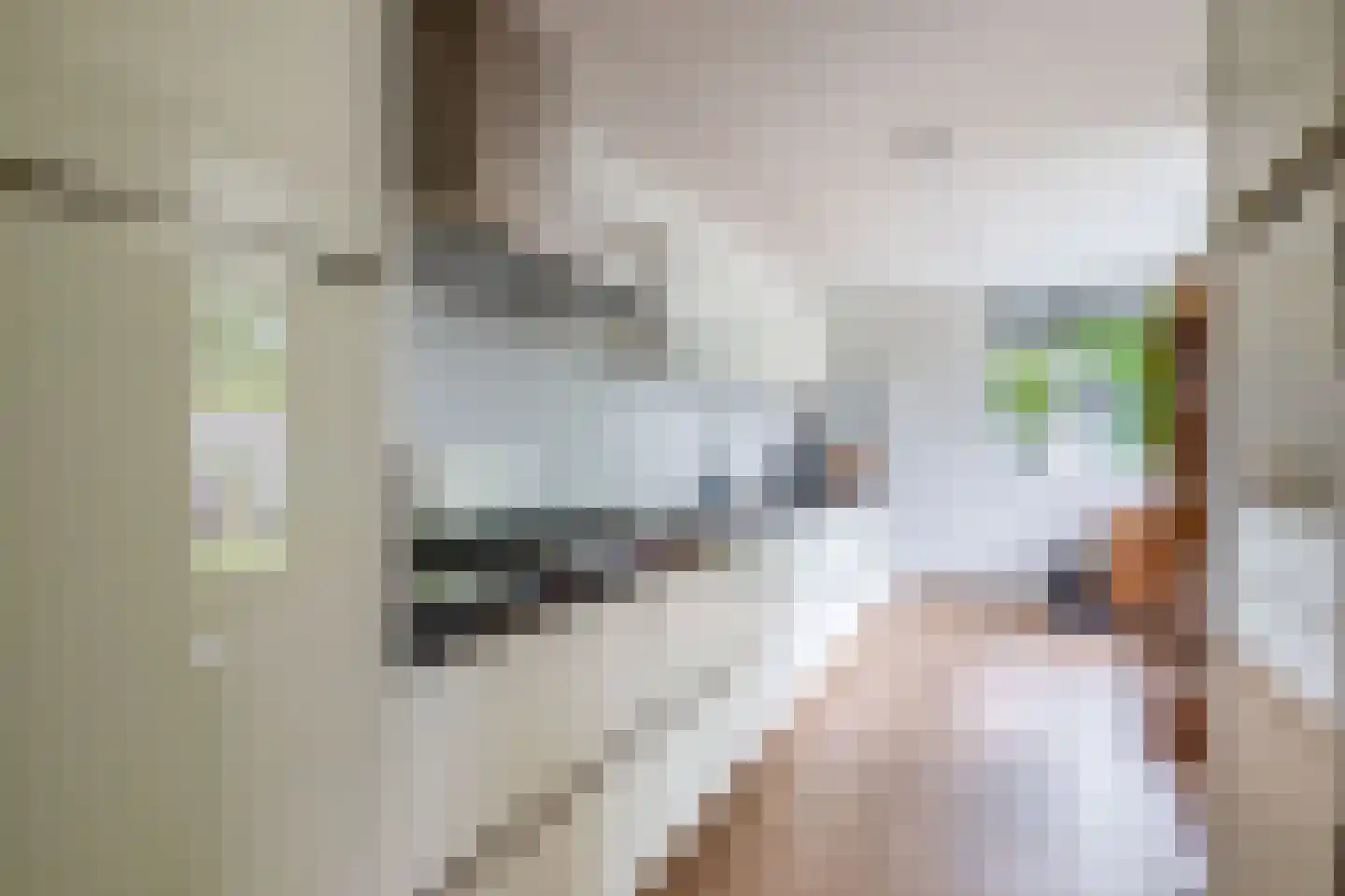 Schout Diercxlaan 6 Nuenen foto 3